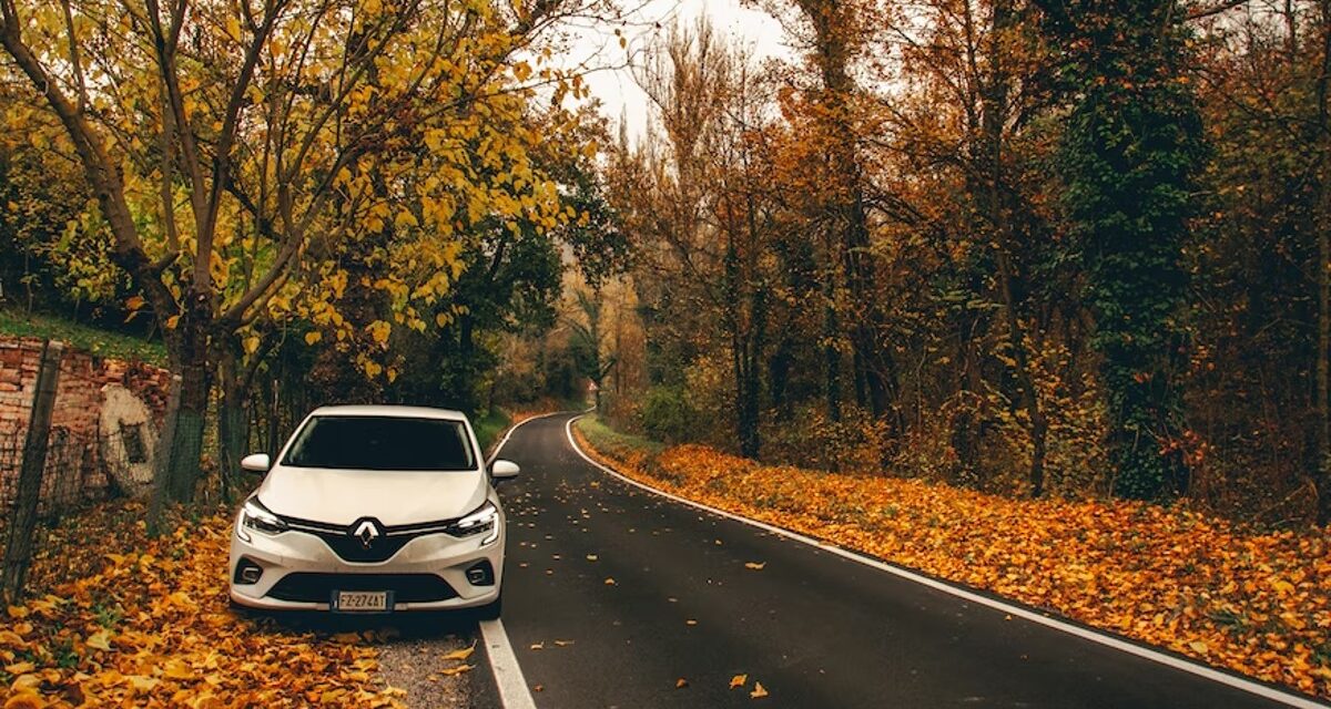 Hur ofta byta kamrem Renault Clio?
