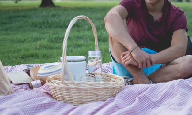 Picknick med bilen? Det här behöver du ha med dig